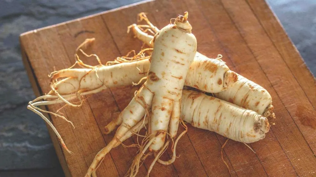 ginseng rouge pour dysfonction érectile