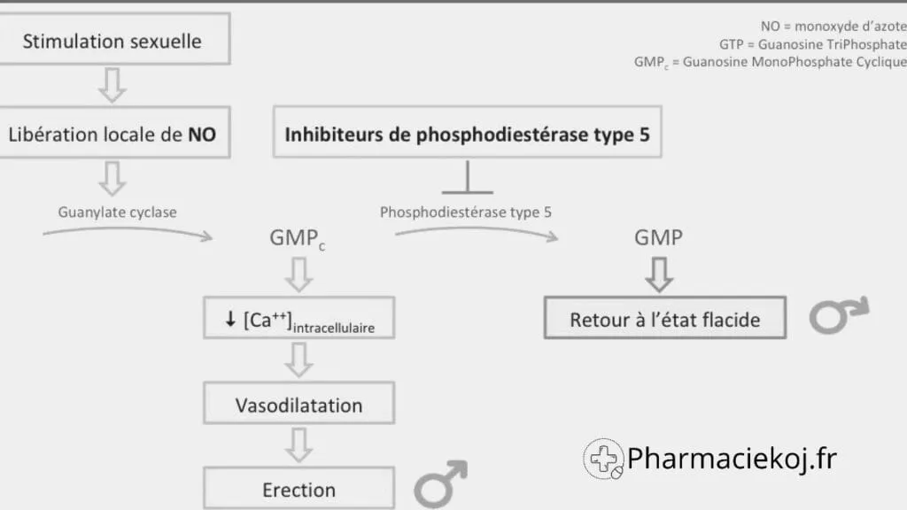enzyme pde-5