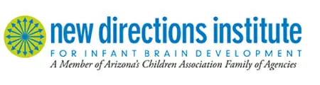 new direction institute