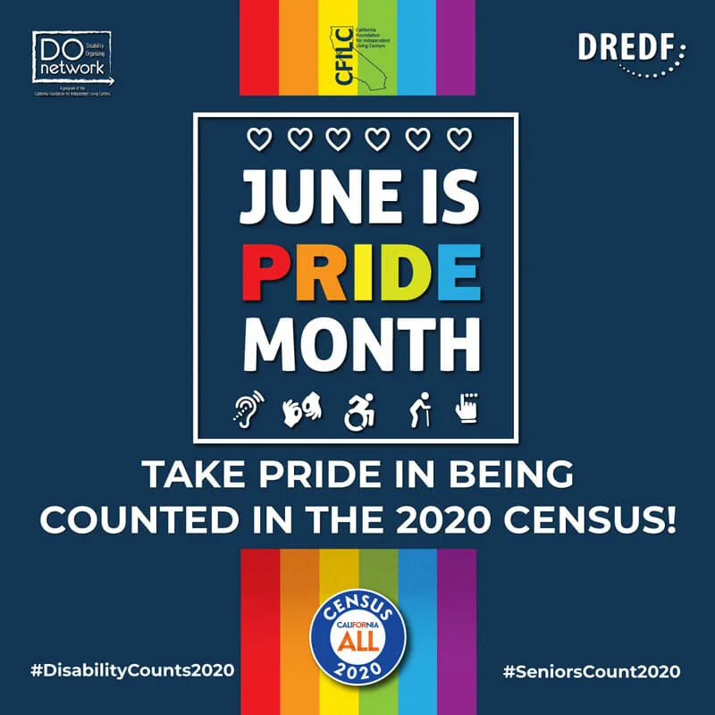 disability counts